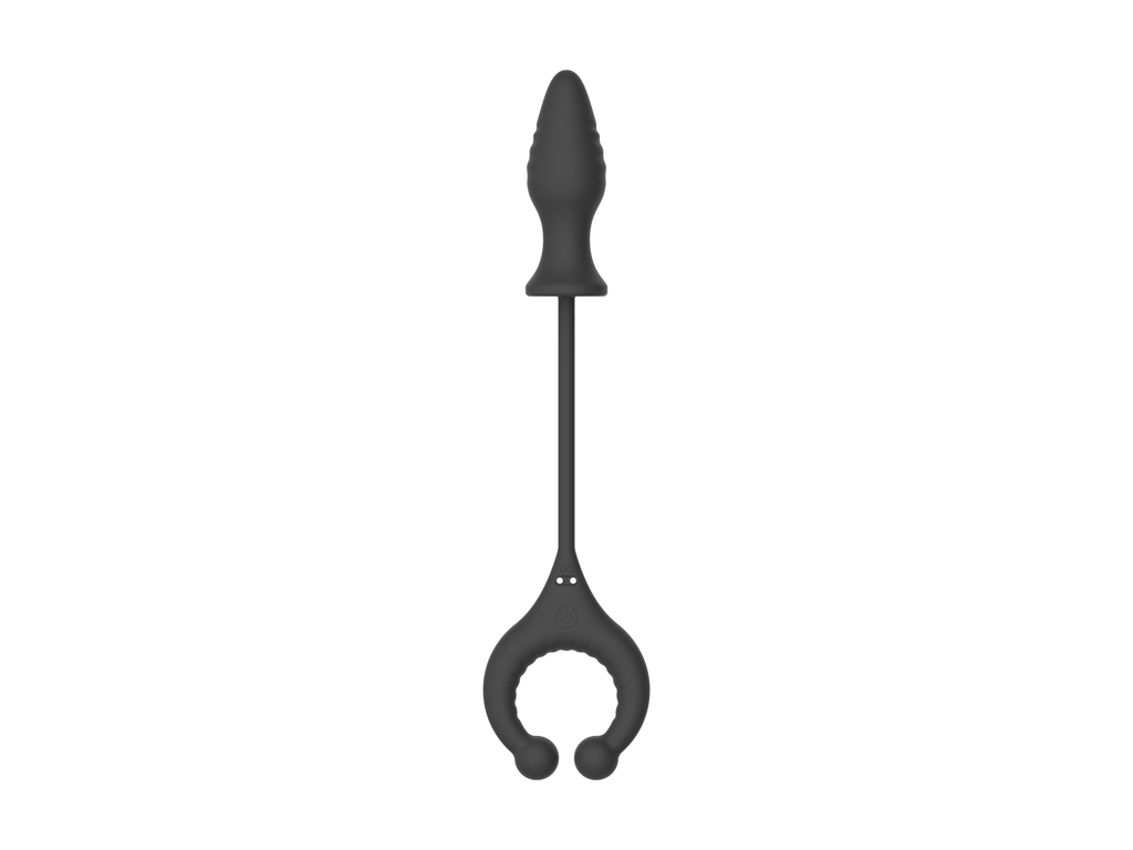 Locking Cock Ring Anal Plug