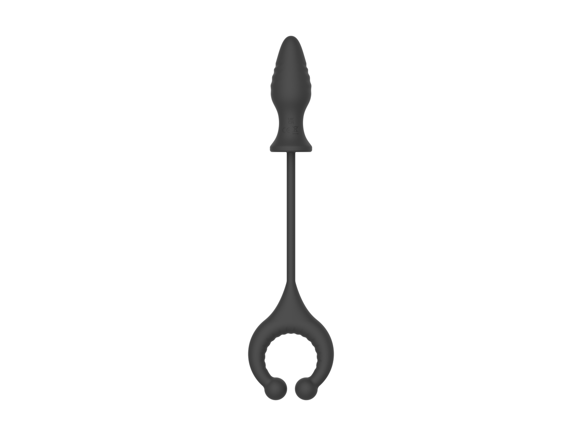 Locking Cock Ring Anal Plug