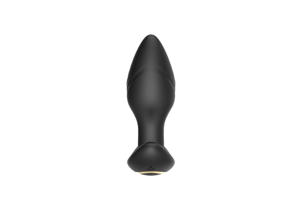 Dual-Motor Swinging Anal Plug