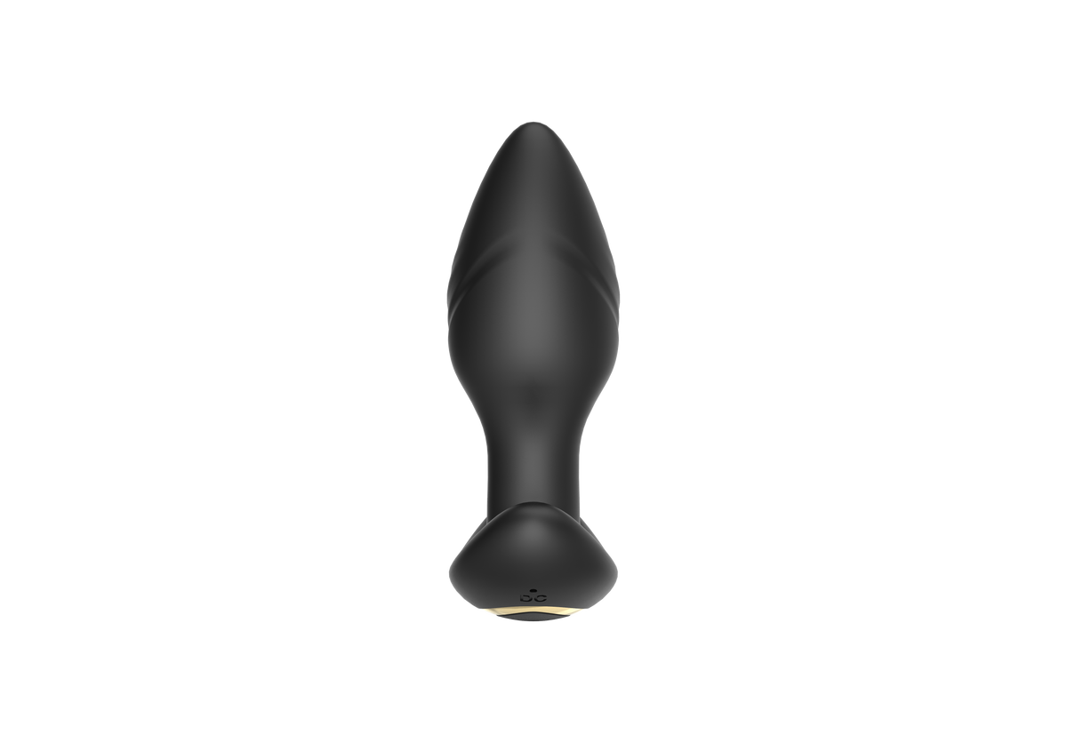 Dual-Motor Swinging Anal Plug