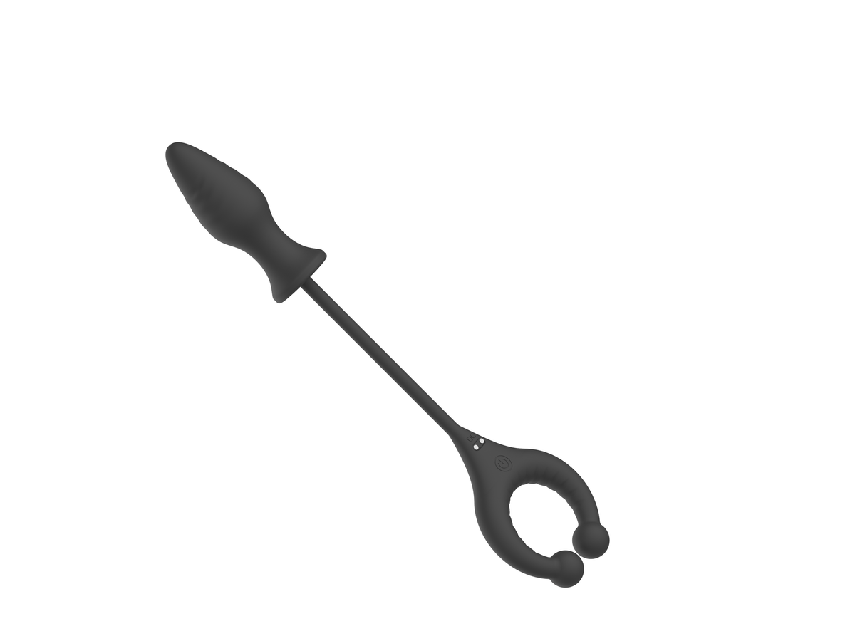 Locking Cock Ring Anal Plug